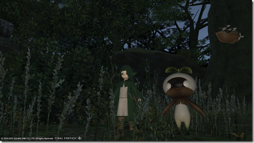 Tomomo Komomo 2013_08_25 10_16_04