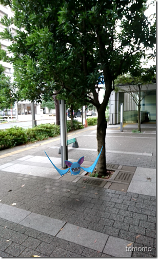 IMG_2016-07-22-12390729