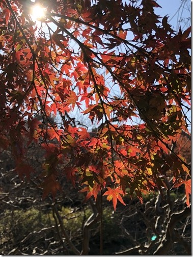 20171125_040050451_iOS