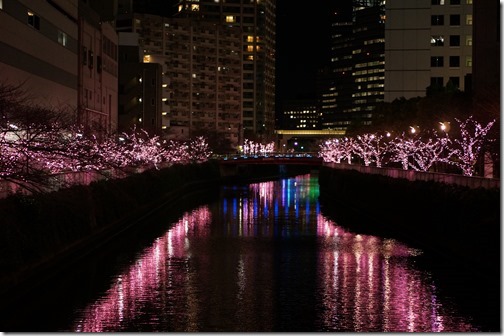 20171213_123323000_iOS