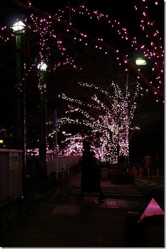 20171213_124348000_iOS