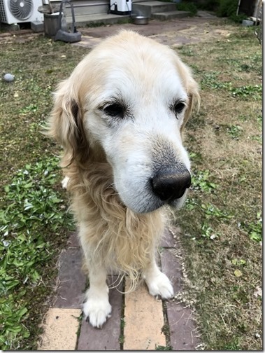 20171231_051014324_iOS