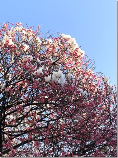 20180122_231240339_iOS