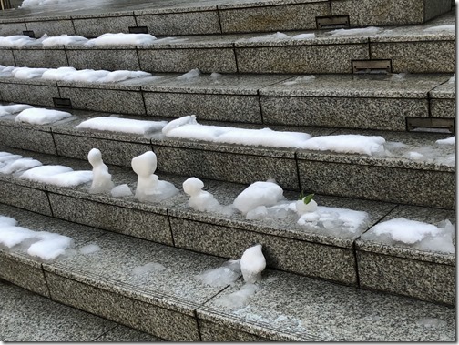 20180123_025641070_iOS