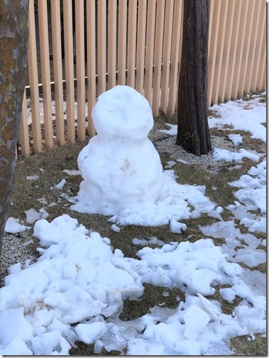 20180124_001248798_iOS