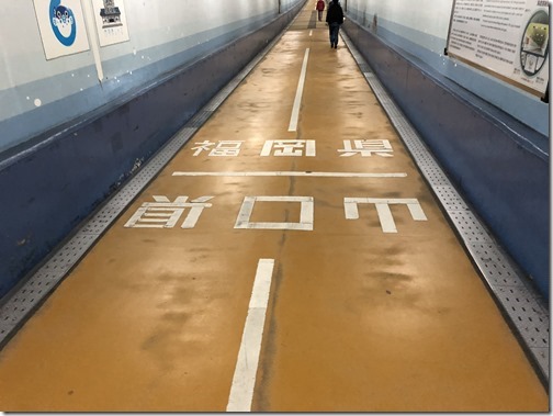 20180129_032634525_iOS