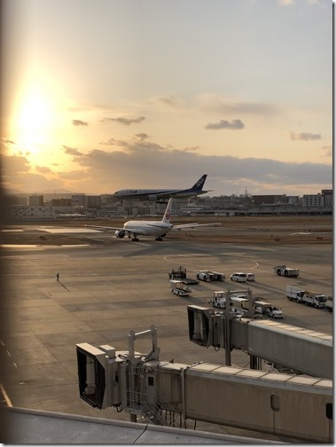 20180130_081343124_iOS