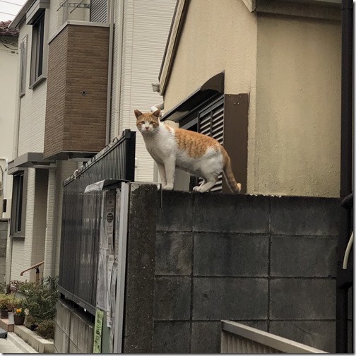 20180222_232718614_iOS