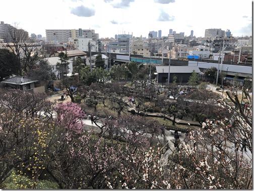 20180311_053614022_iOS