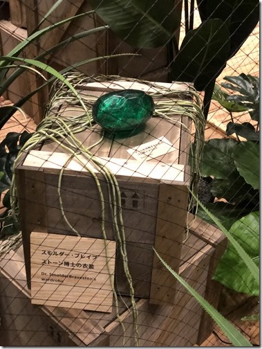 20180316_115500538_iOS