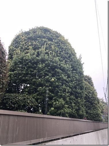 20180321_031435675_iOS 20180321_031435675_iOS