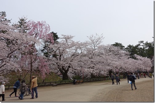 20180423_010630000_iOS