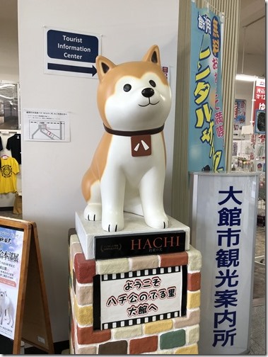 20180423_063755792_iOS