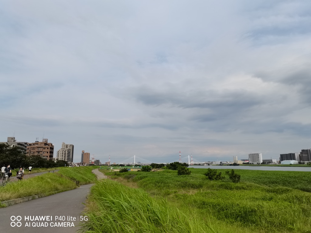 4EBDCD1F-231F-455D-8694-0A3200447667_1_105_c