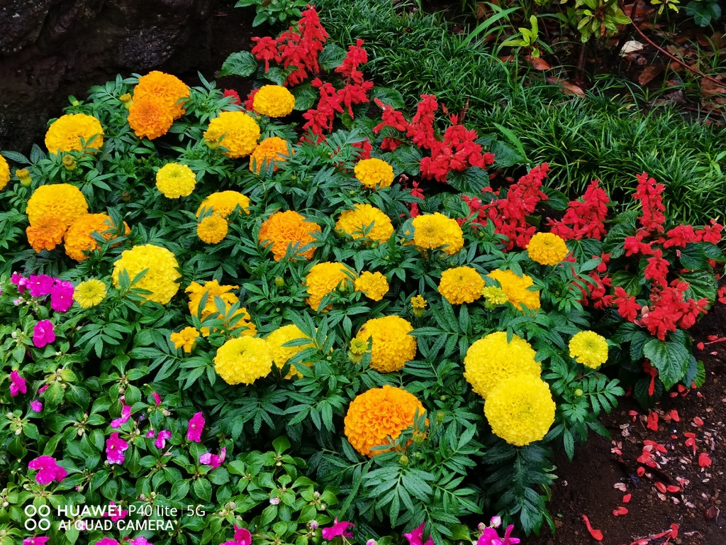 B5C2B9B5-A385-4C3D-B8FB-8E3D9C964739_1_105_c