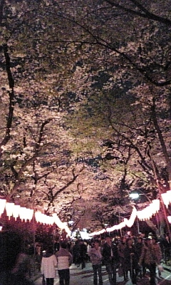 UNADJUSTEDNONRAW_thumb_77e