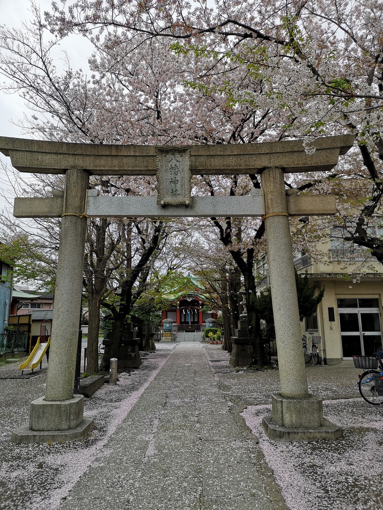 UNADJUSTEDNONRAW_thumb_19a11