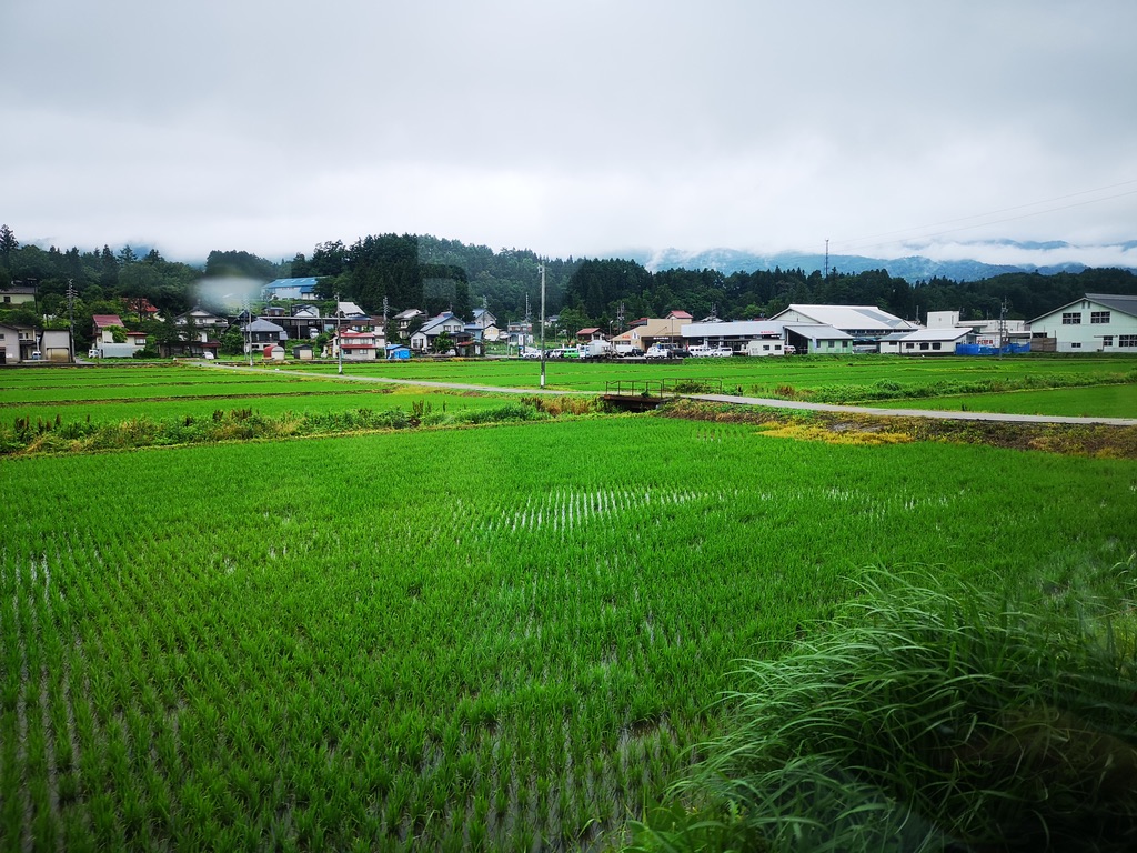 UNADJUSTEDNONRAW_thumb_19e7a