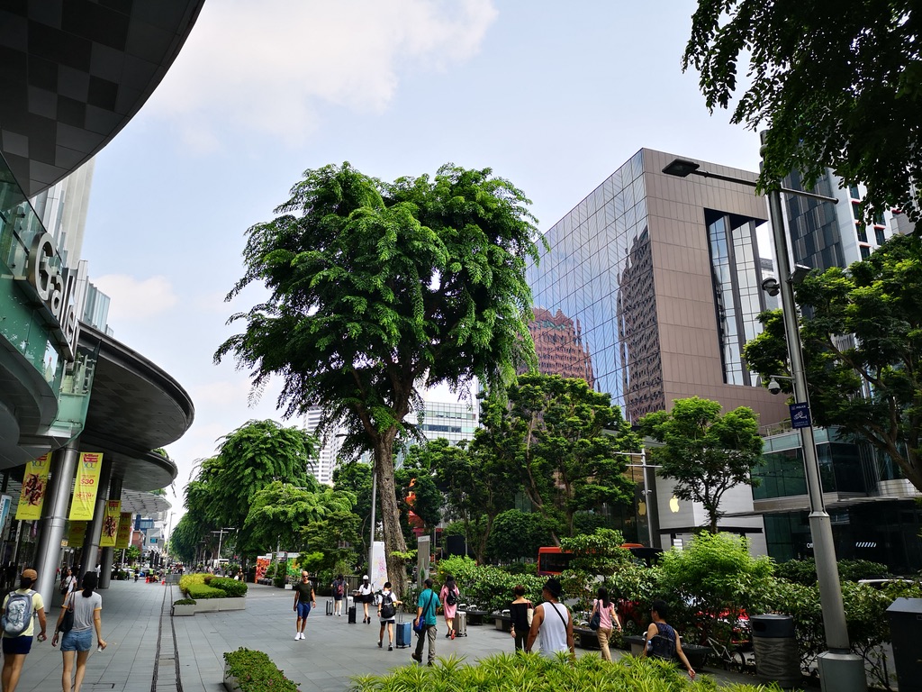 UNADJUSTEDNONRAW_thumb_19fd9