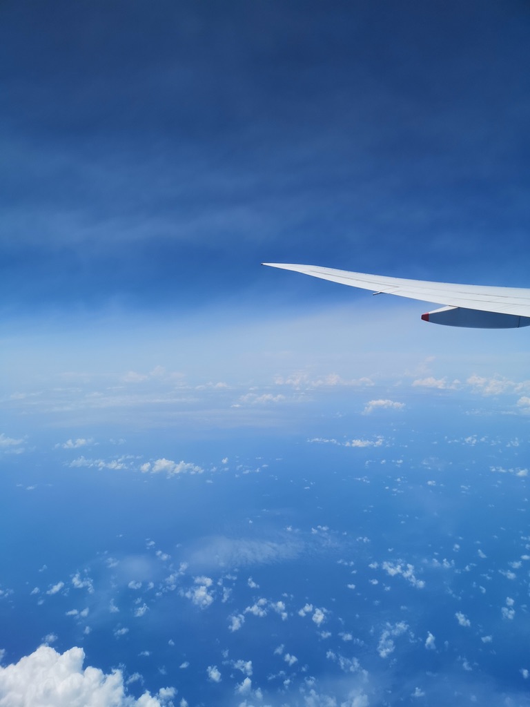 UNADJUSTEDNONRAW_thumb_1a089