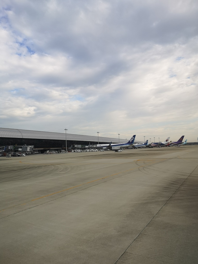 8BFF7303-D2AD-4BE7-9ADF-09DC03F72206_1_105_c