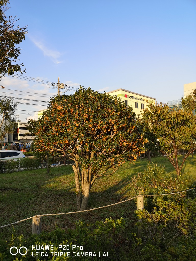 0B81FF86-CB21-49DE-B406-D02725317631_1_105_c