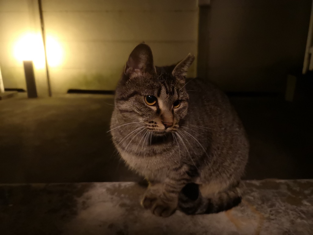 0DF85EB0-2CC3-4973-9F80-612290D7D084_1_105_c