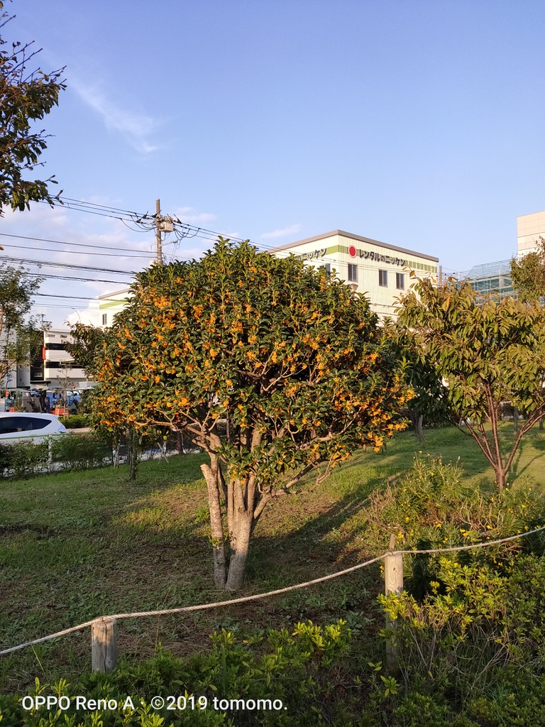 9844260B-4C78-4455-A87A-84CEE321C9C4_1_105_c