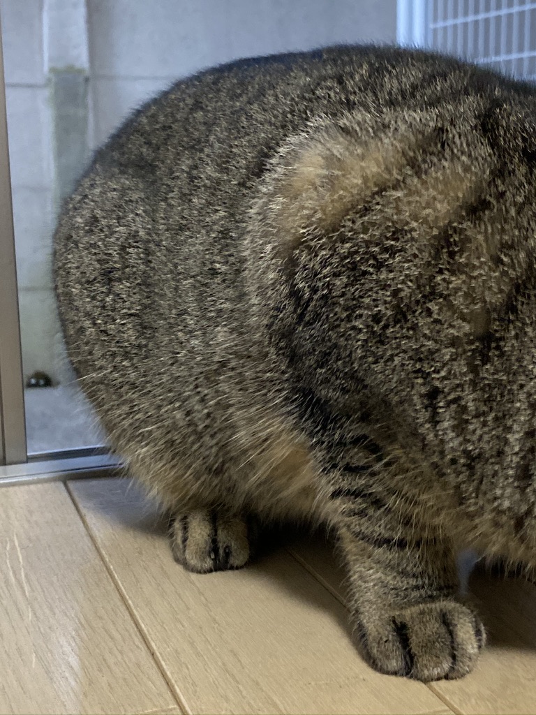 D5F4A057-CDEA-40C8-8F82-45DF2E13F846_1_105_c