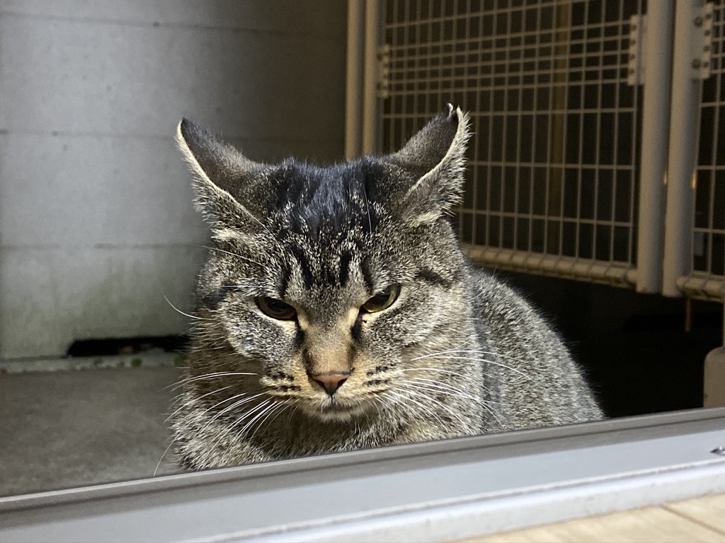 EAF6BD49-D575-400A-AE94-341748324748_1_105_c