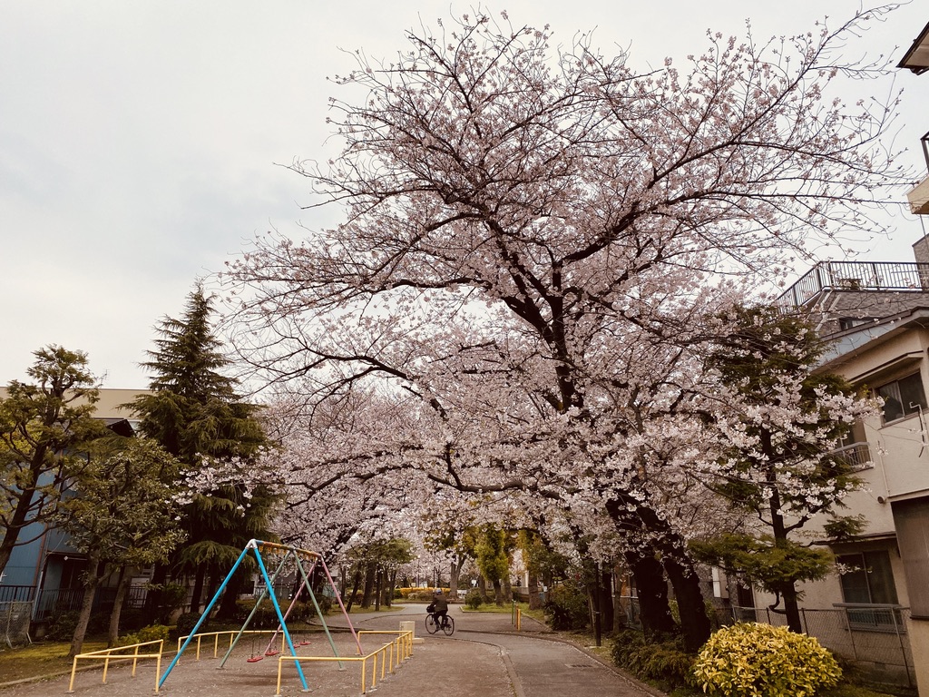 047B556E-E053-45D1-A299-688F99CE4E42_1_105_c