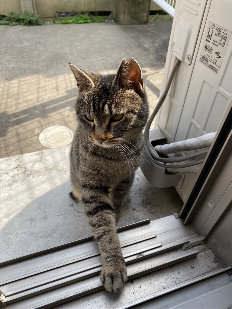 272F5558-5CFB-4AC6-BE58-EB7C6A9EA86D_1_105_c