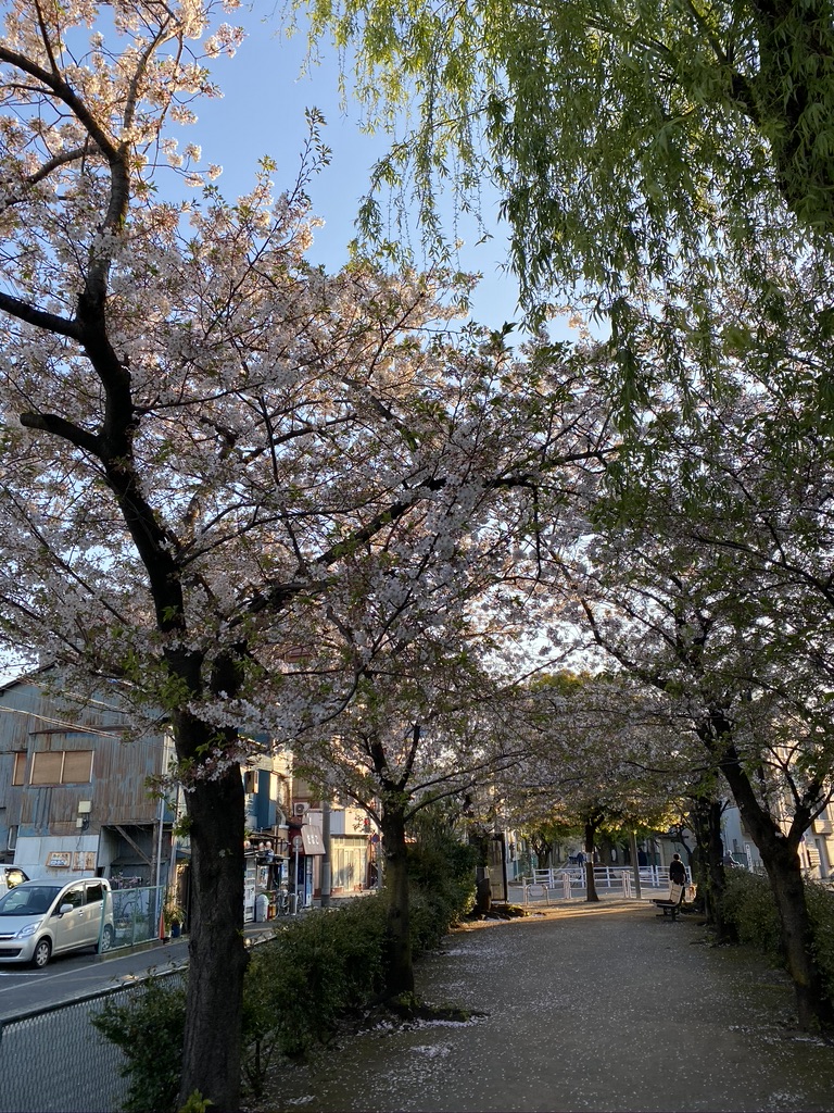 4328BB54-B481-4543-9919-C5349506877B_1_105_c