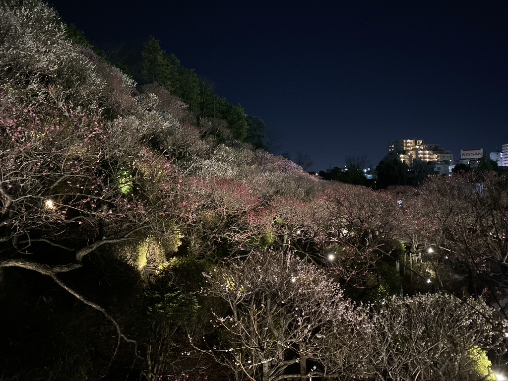 6572E264-B721-43CE-A732-1A96FD683B43_1_105_c