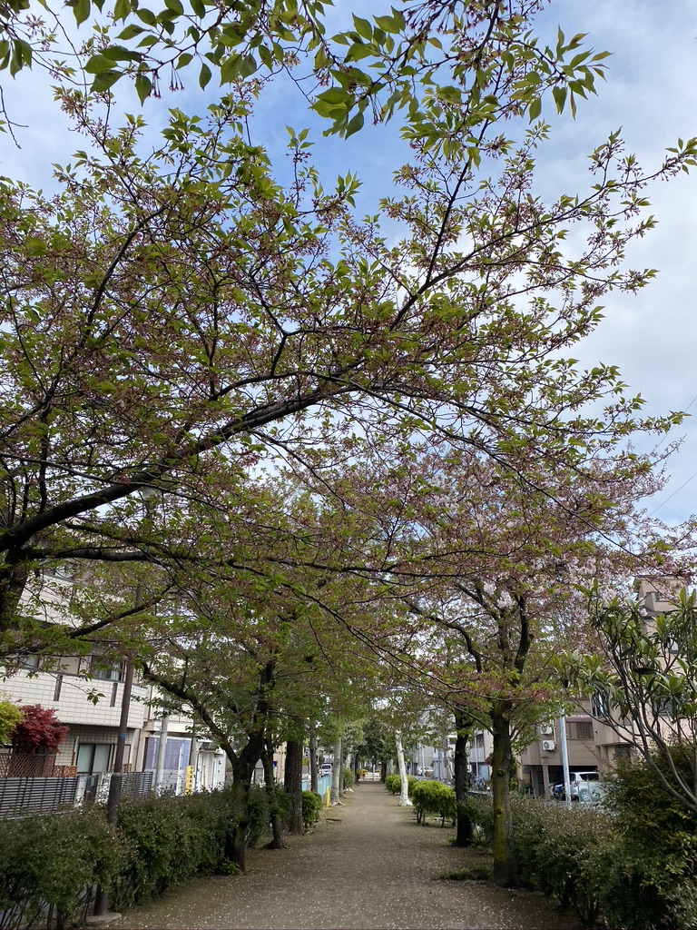 70004492-A375-410D-8370-5D0B32A772A1_1_105_c