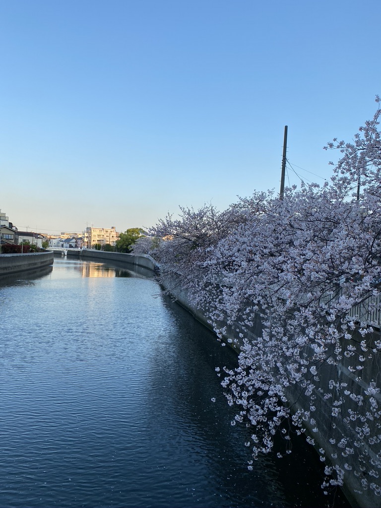 9A1DF81C-F356-4CF7-9705-B692E5DEA06E_1_105_c