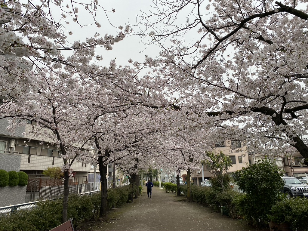 A22427A4-2154-4BC1-9A63-4072820BD454_1_105_c