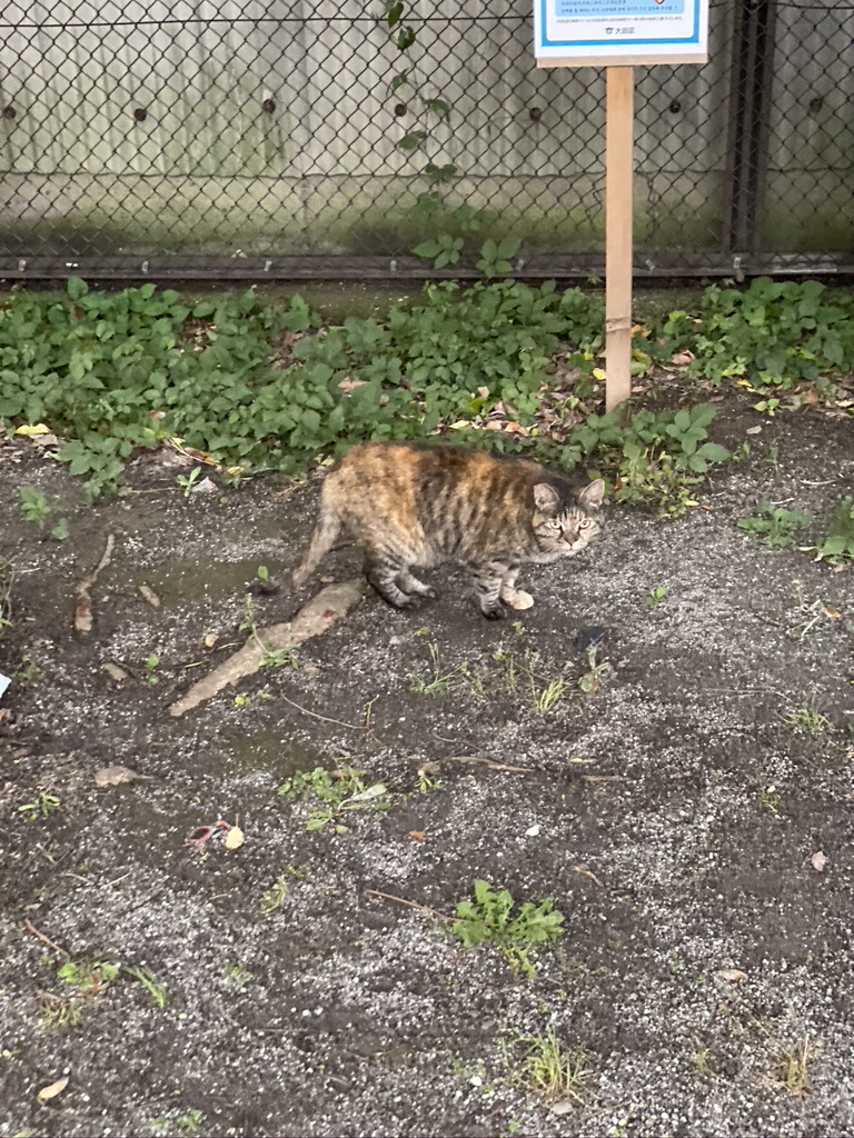 AB8CA837-19EC-42C3-9D08-3EA797A26329_1_105_c