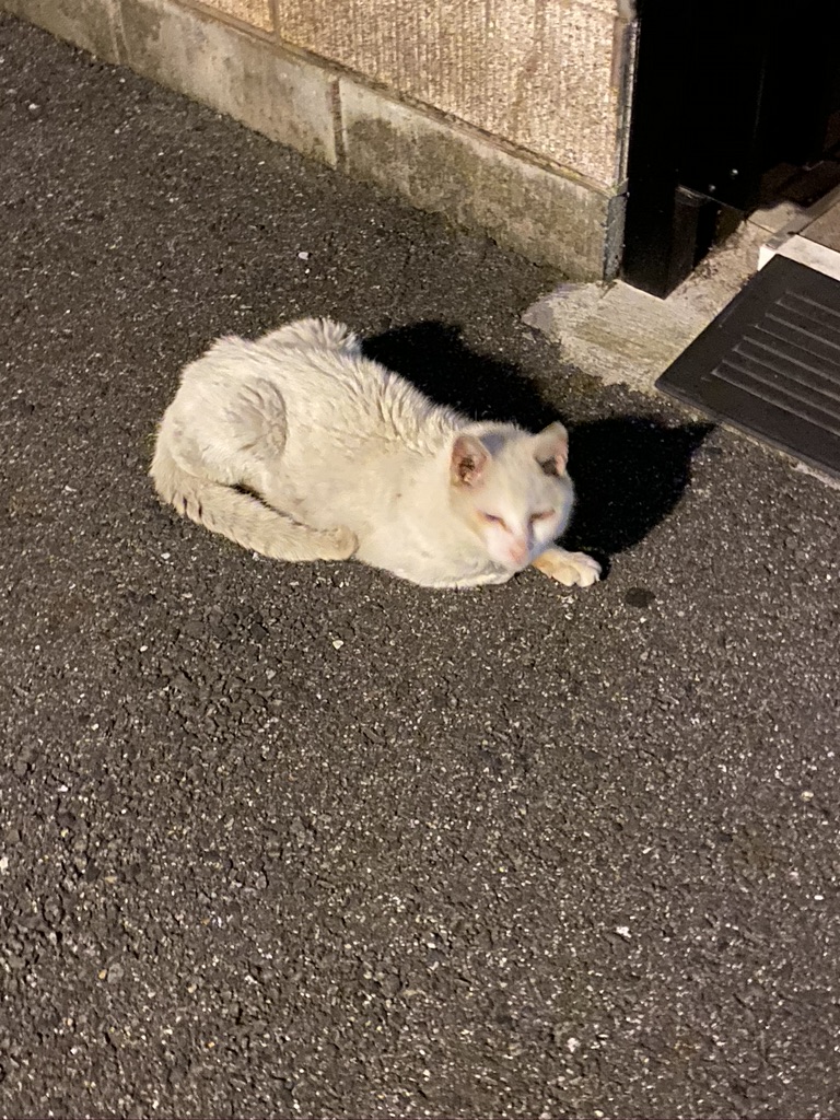 B79D7335-E048-4DC3-8FEE-EDAADB97671A_1_105_c