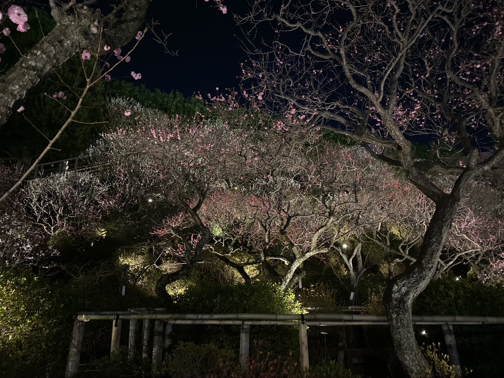 EC3FD6FF-51CF-40D0-BC4F-1EC59CA4A901_1_105_c