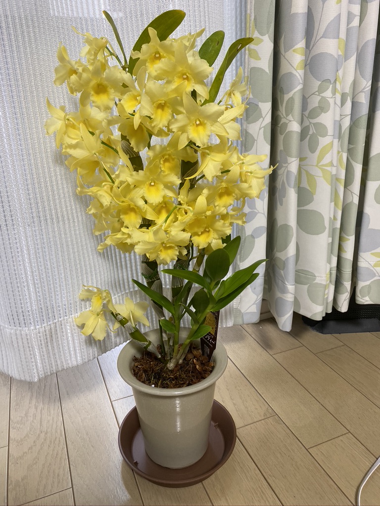 F3AA17A1-EC4F-455A-808C-8312CB743372_1_105_c