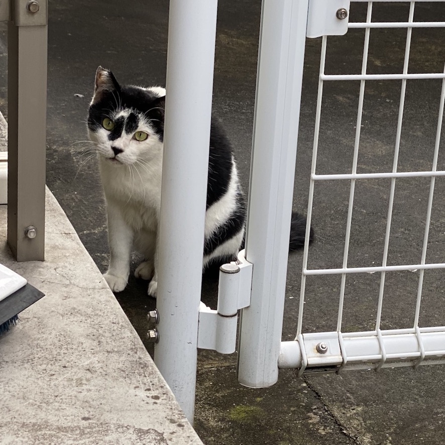 5AB015BB-DA54-44DF-8898-74508CE0016E_1_105_c