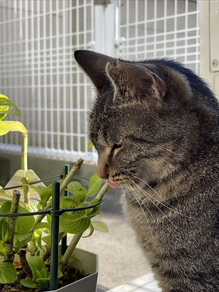 4F4360ED-3251-4114-A345-BD8771C39E6E_1_105_c