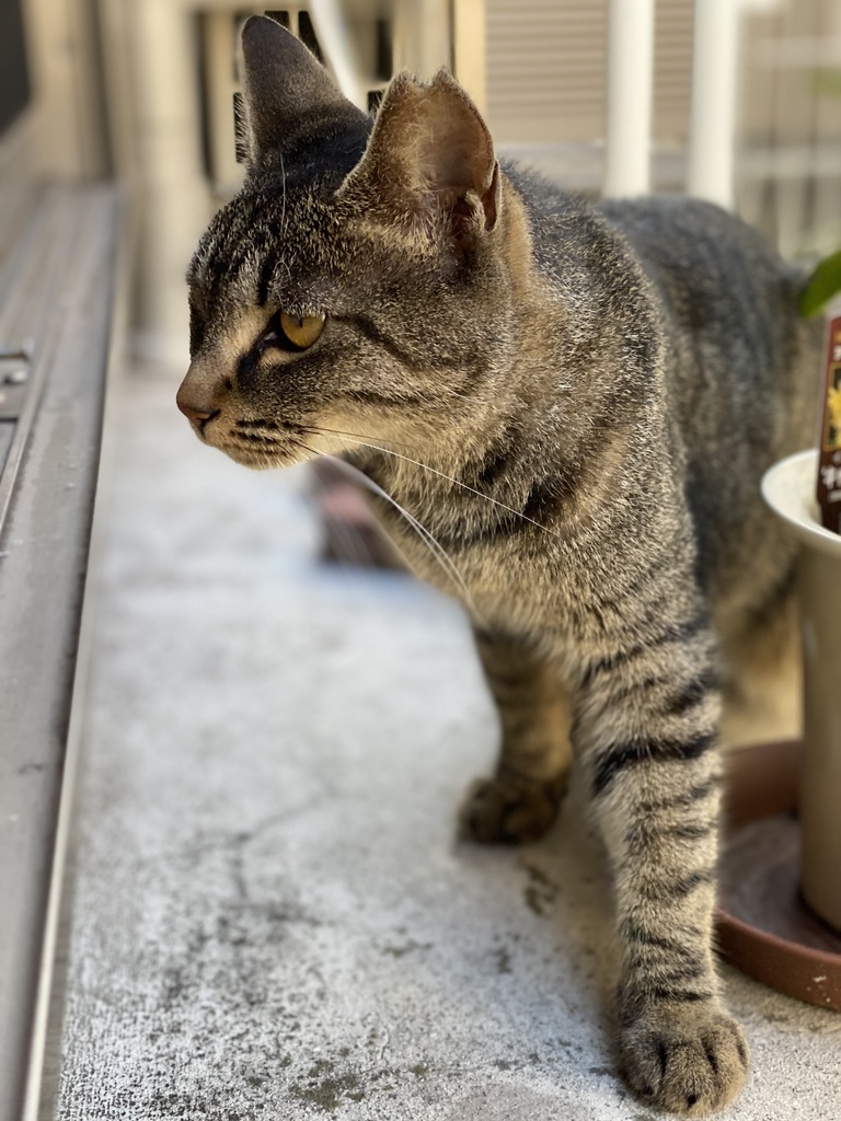 7DF91312-8A60-4ACC-9742-C33ABAF80782_1_105_c