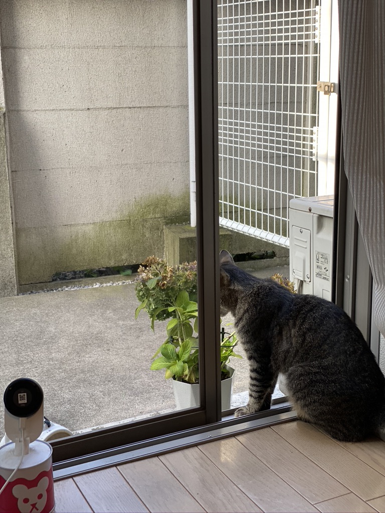 838C33E8-F5FA-4DF5-9F41-397D28E7FCC4_1_105_c