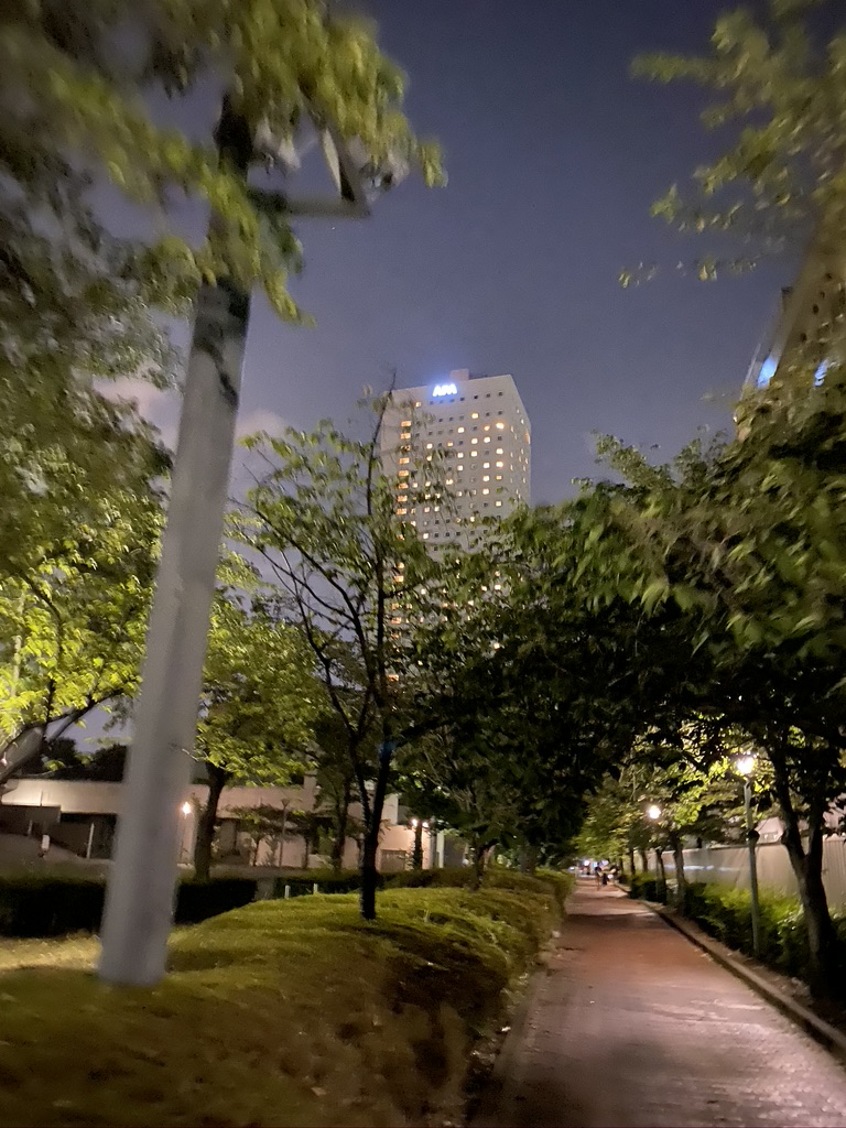 CD0D98FB-E5CE-4BB6-B994-1B718FC41248_1_105_c