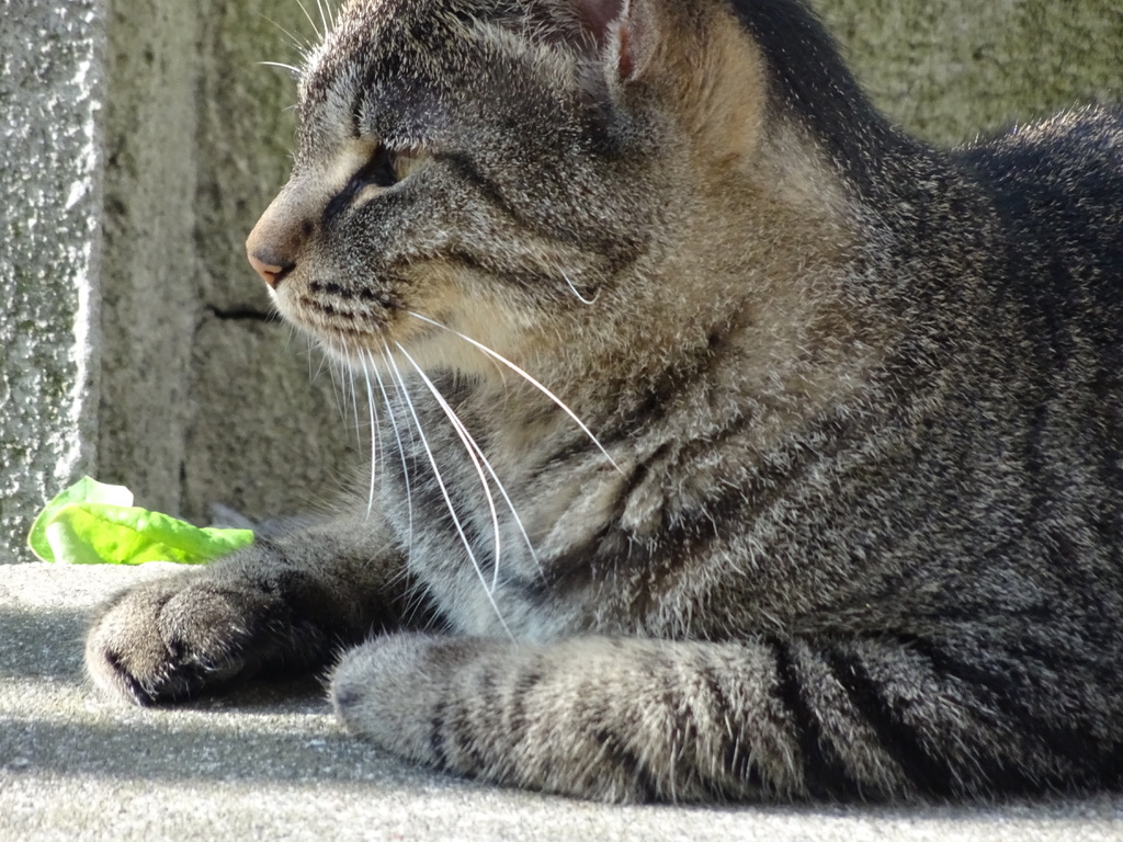 5C0F79C3-EC19-4B87-9516-0967BFAFDA3C_1_105_c