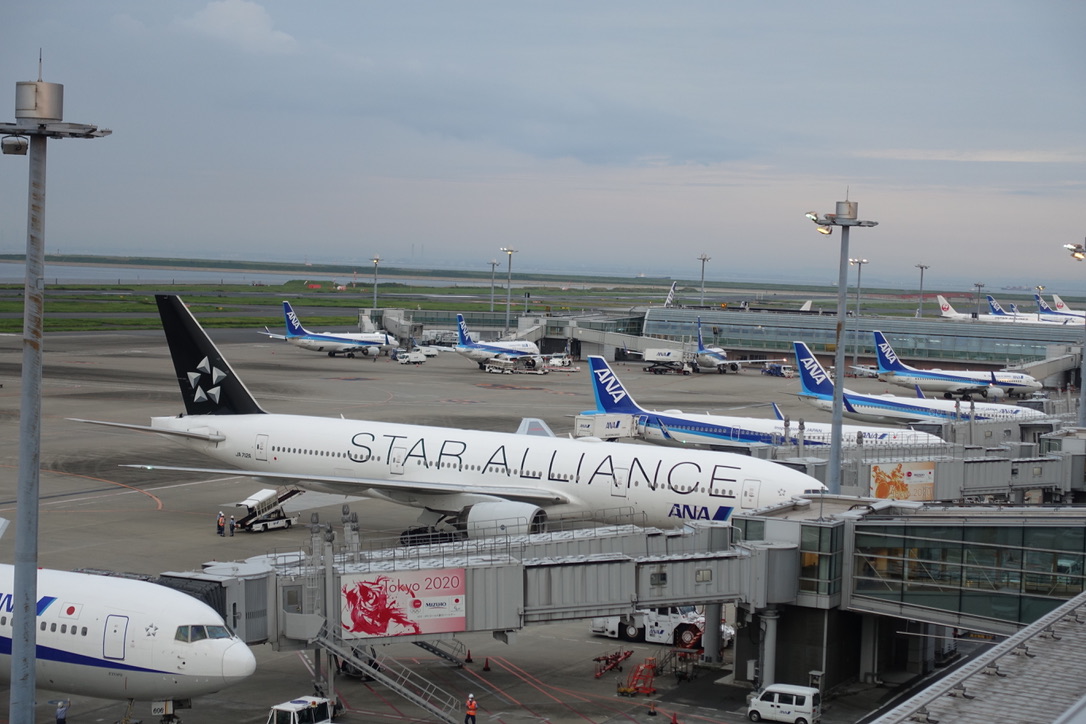 700531B7-6FE4-46CF-8857-E6F6675960F3_1_105_c