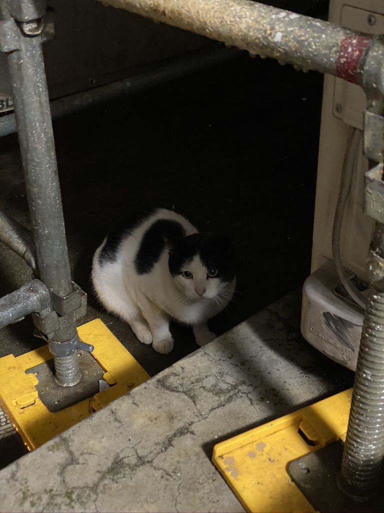 1EC2CAC0-6C32-47DB-9D7C-41018CBB1C12_1_105_c