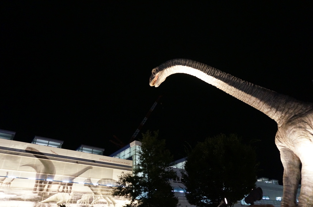 337258CB-EDA0-40CF-A3EC-146A40820B57_1_105_c